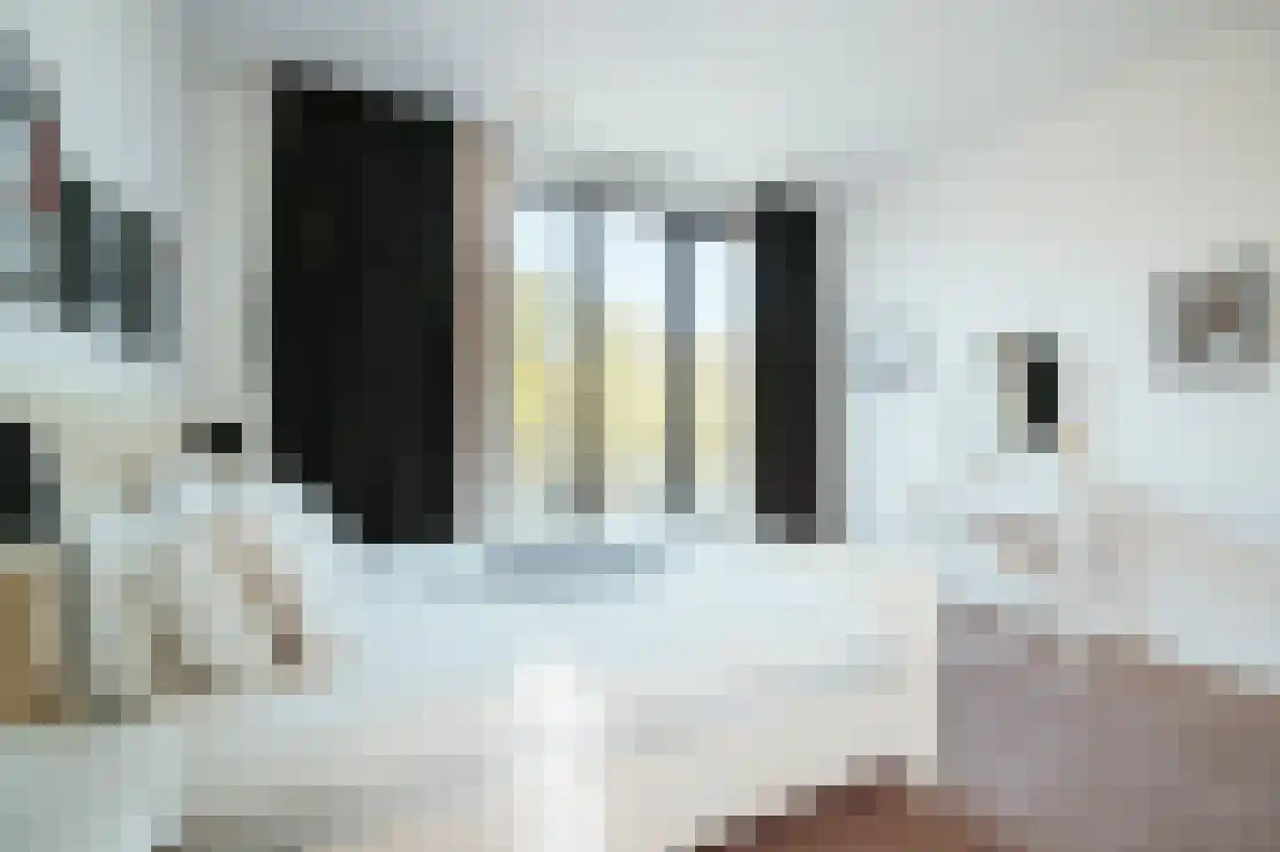 Herman Gorterstraat 24 Amsterdam thumbnail 30