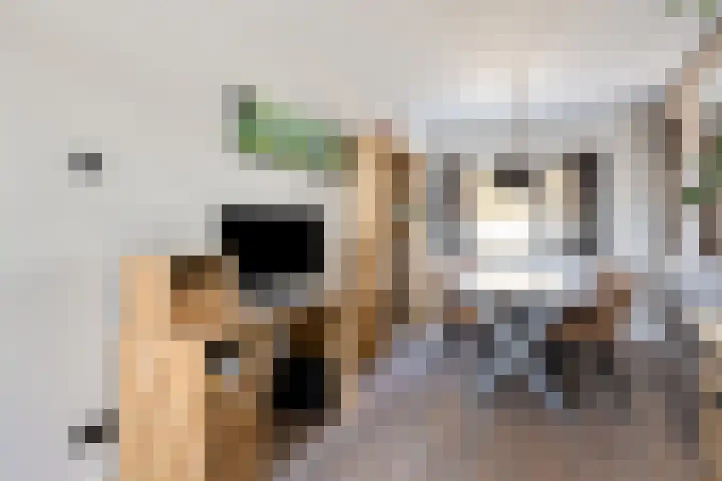 Herman Gorterstraat 3 Hazerswoude-Rijndijk thumbnail 7