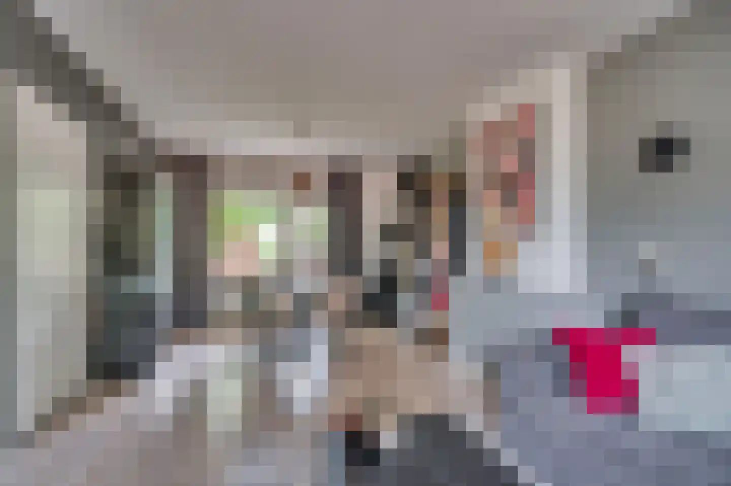 Herman Gorterstraat 75 Venlo thumbnail 10