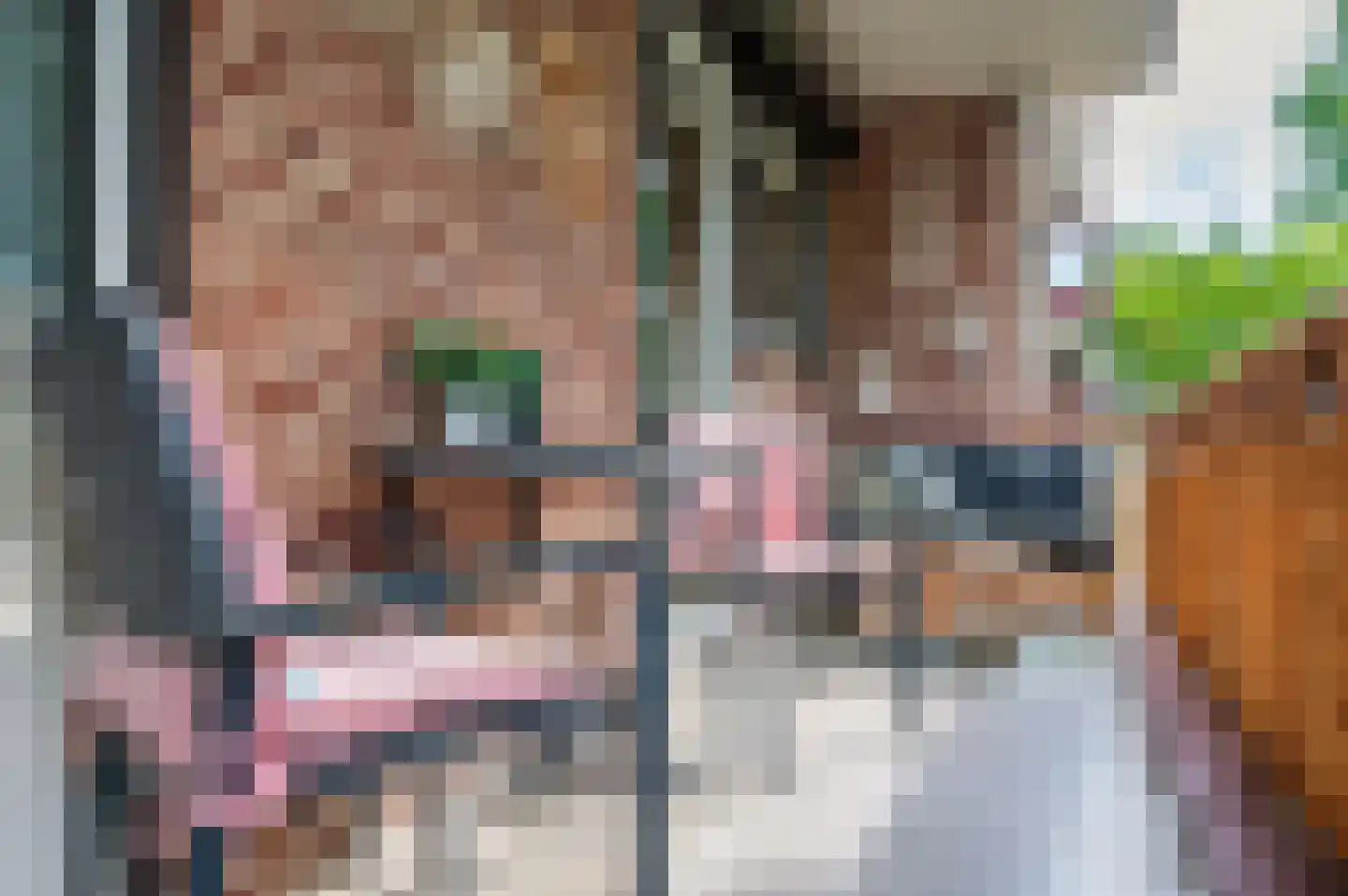 Herman Gorterstraat 75 Venlo thumbnail 14