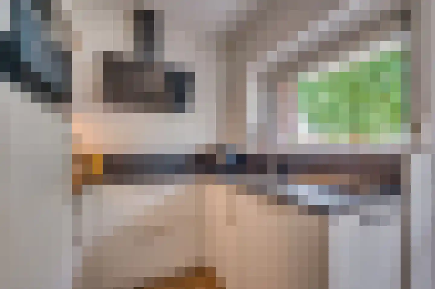 Herman Gorterstraat 75 Venlo thumbnail 20