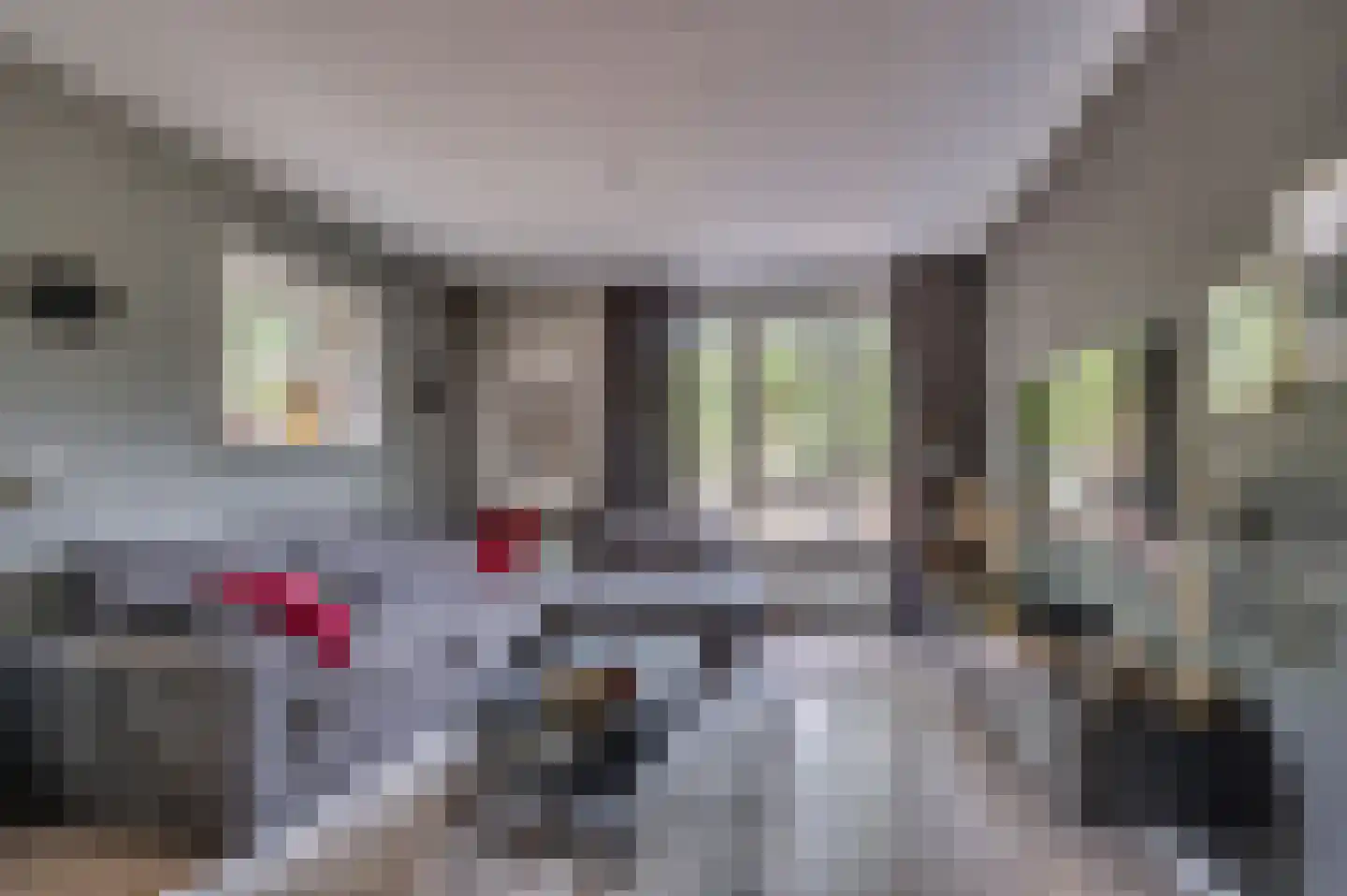 Herman Gorterstraat 75 Venlo thumbnail 8