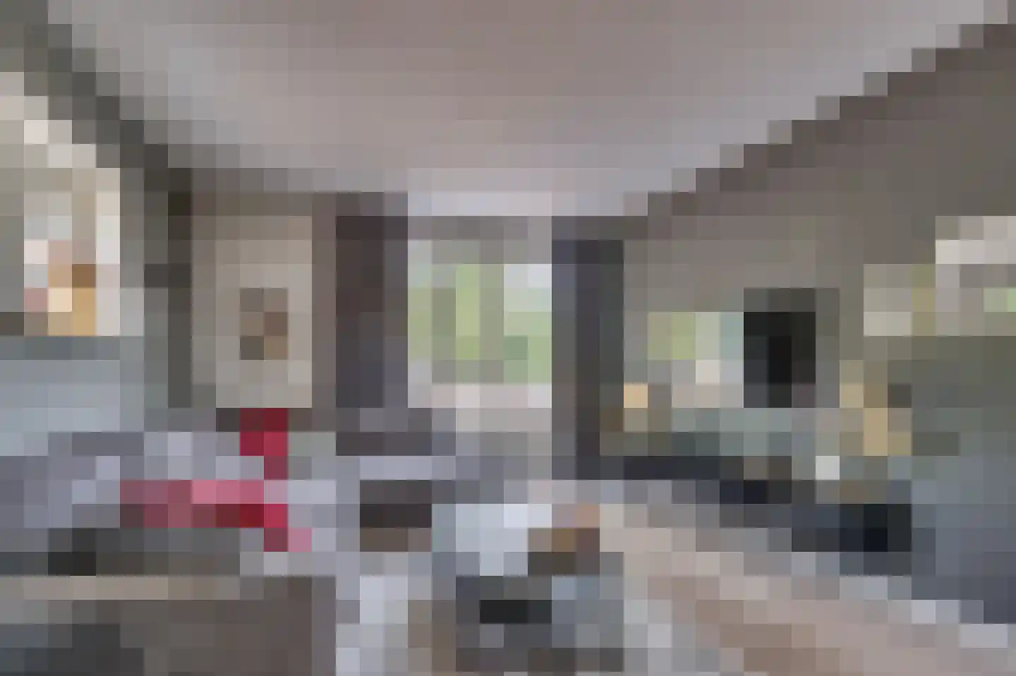 Herman Gorterstraat 75 Venlo thumbnail 9