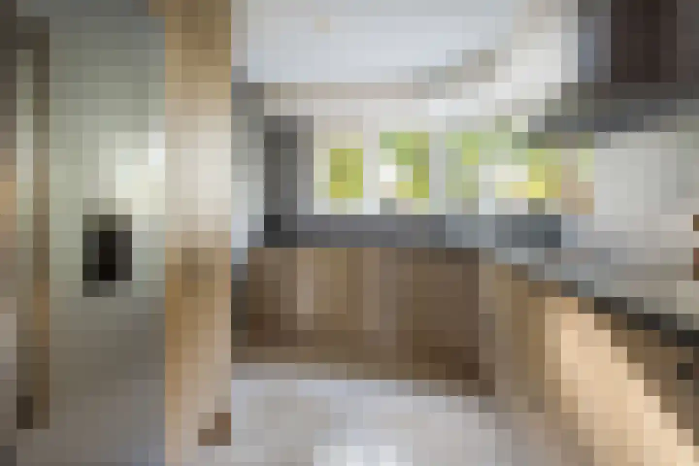 Herman Gorterweg 34 Almere thumbnail 19