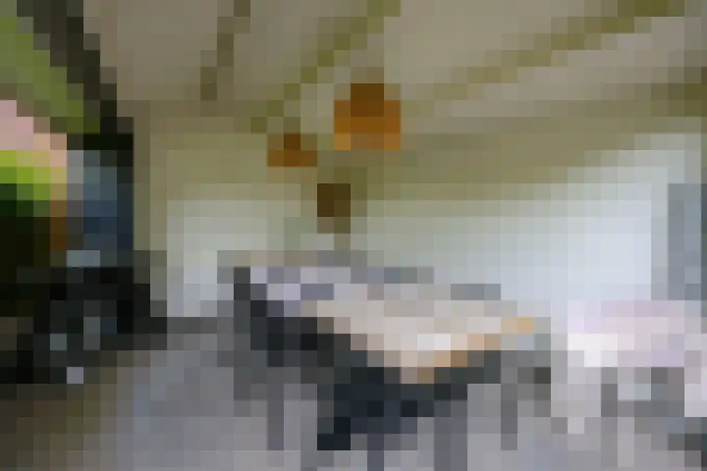 Herman Gorterweg 4 Almere thumbnail 36