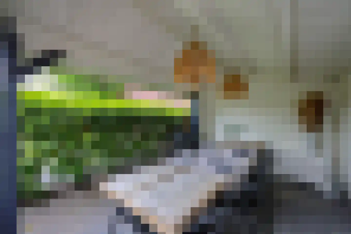 Herman Gorterweg 4 Almere thumbnail 39