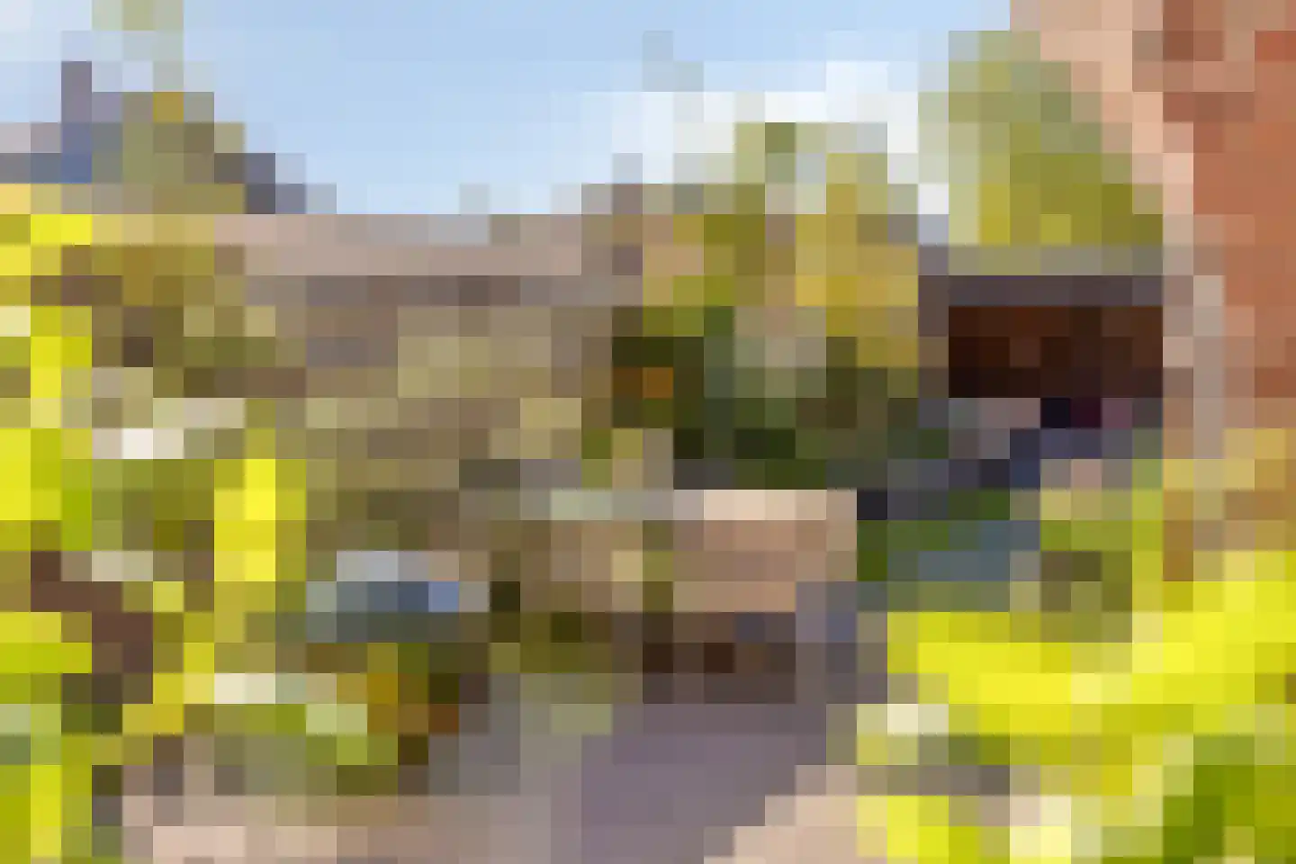 Herman Harmsenstraat 3 Lichtenvoorde thumbnail 15