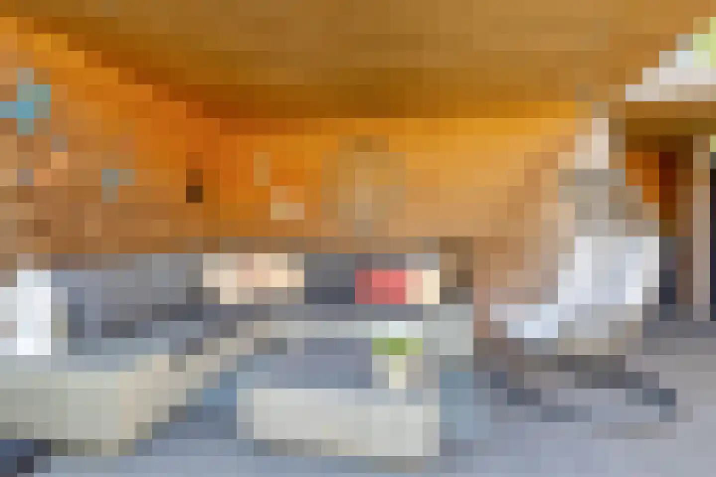 Herman Harmsenstraat 3 Lichtenvoorde thumbnail 36