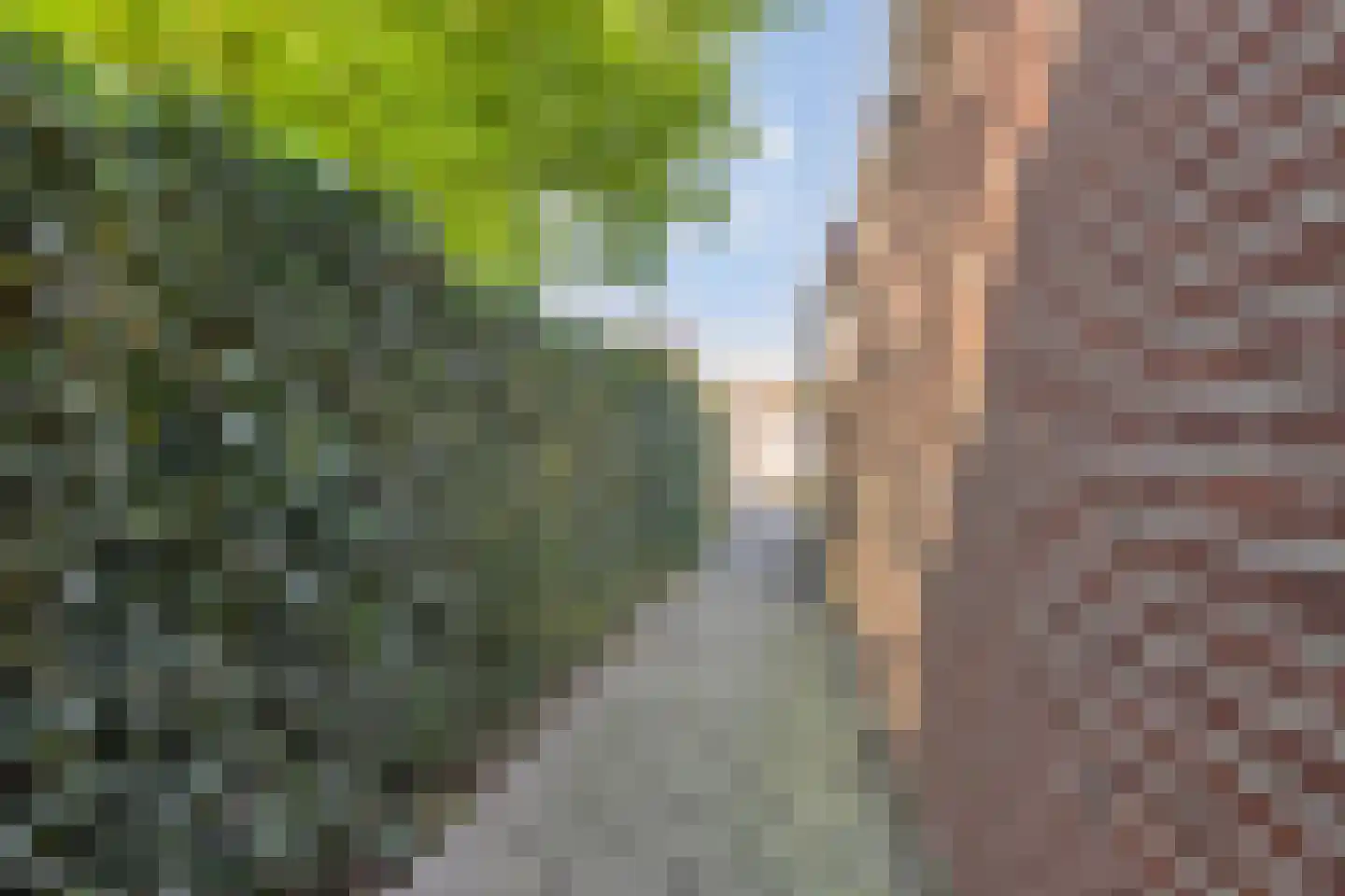 Herman Harmsenstraat 3 Lichtenvoorde thumbnail 38