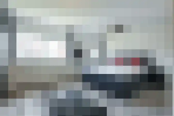Herman Heijermanshove 22 Nieuwegein thumbnail 13