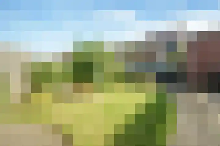 Herman Heijermanshove 22 Nieuwegein thumbnail 23