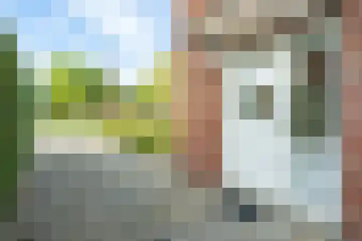 Herman Heijermanshove 22 Nieuwegein thumbnail 4