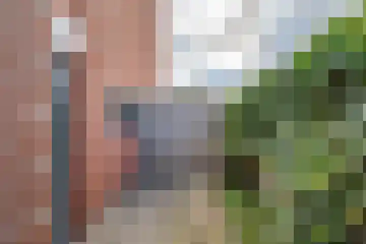 Herman Heijermanshove 37 Nieuwegein thumbnail 37