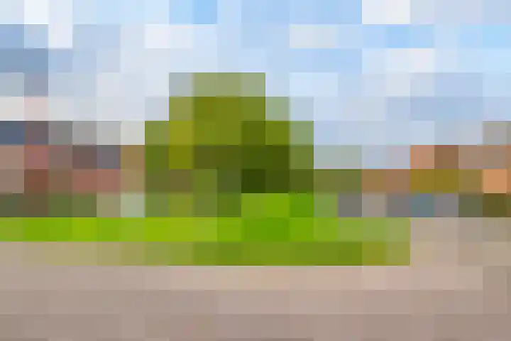 Herman Heijermanshove 37 Nieuwegein thumbnail 40