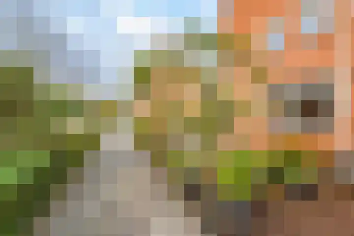 Herman Heijermanshove 37 Nieuwegein thumbnail 41