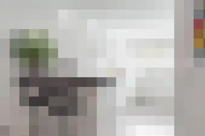 Herman Heijermanshove 49 Nieuwegein thumbnail 8