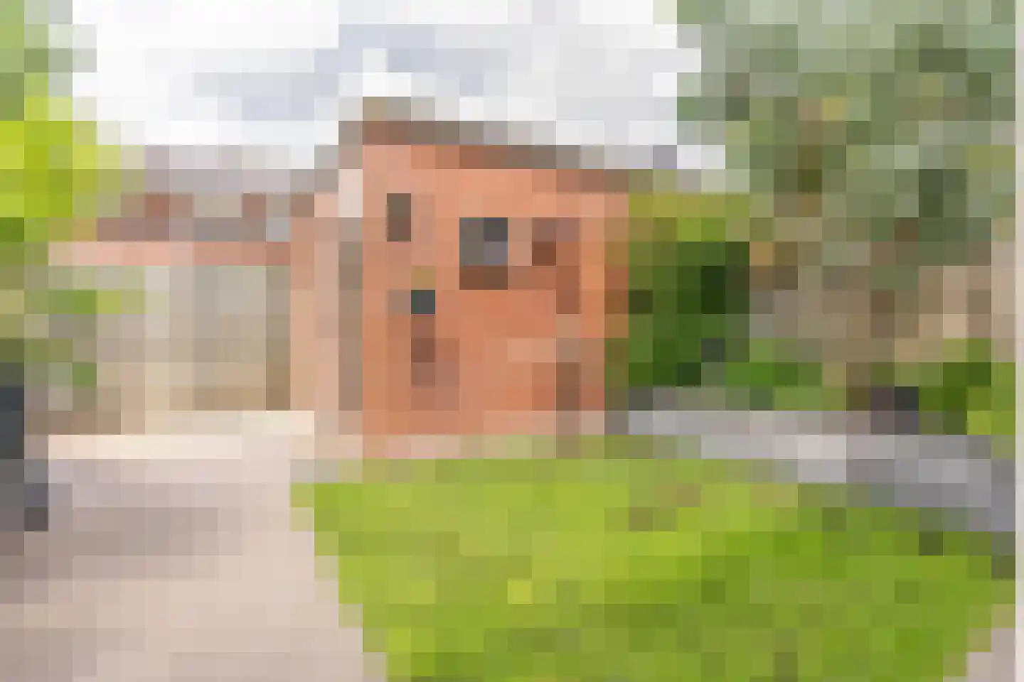 Herman Heijermanshove 63 Nieuwegein thumbnail 48
