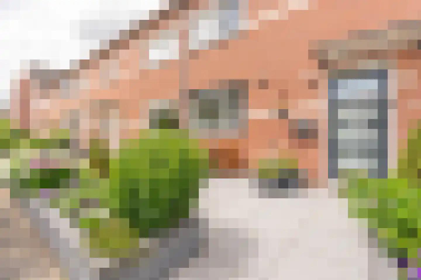 Herman Heijermanshove 63 Nieuwegein thumbnail 56