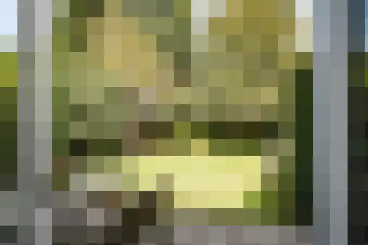 Herman Heijermanslaan 10 Heemstede thumbnail 17