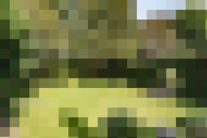 Herman Heijermanslaan 10 Heemstede thumbnail 18