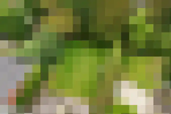 Herman Heijermanslaan 10 Heemstede thumbnail 19