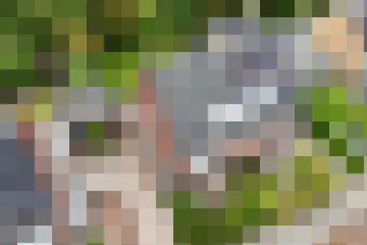 Herman Heijermanslaan 10 Heemstede thumbnail 4