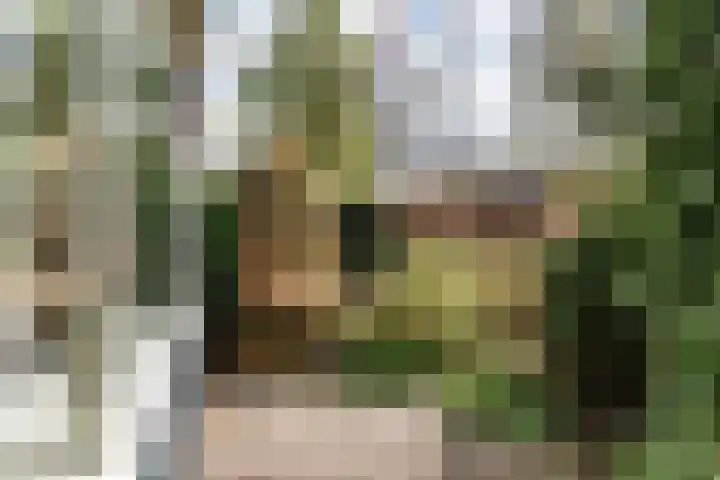 Herman Heijermanslaan 10 Heemstede thumbnail 41