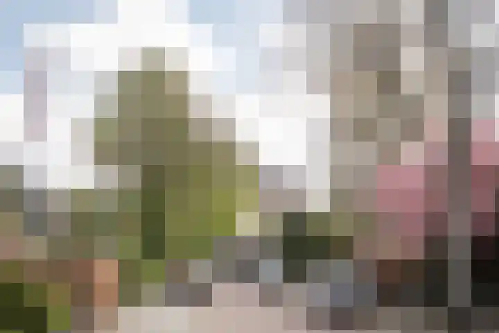Herman Heijermanslaan 10 Heemstede thumbnail 43