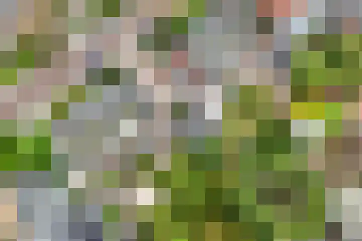 Herman Heijermanslaan 10 Heemstede thumbnail 44