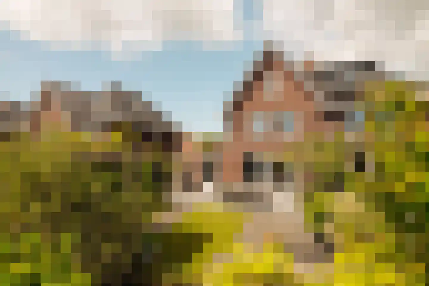 Herman Heijermanslaan 12 A Beverwijk thumbnail 15