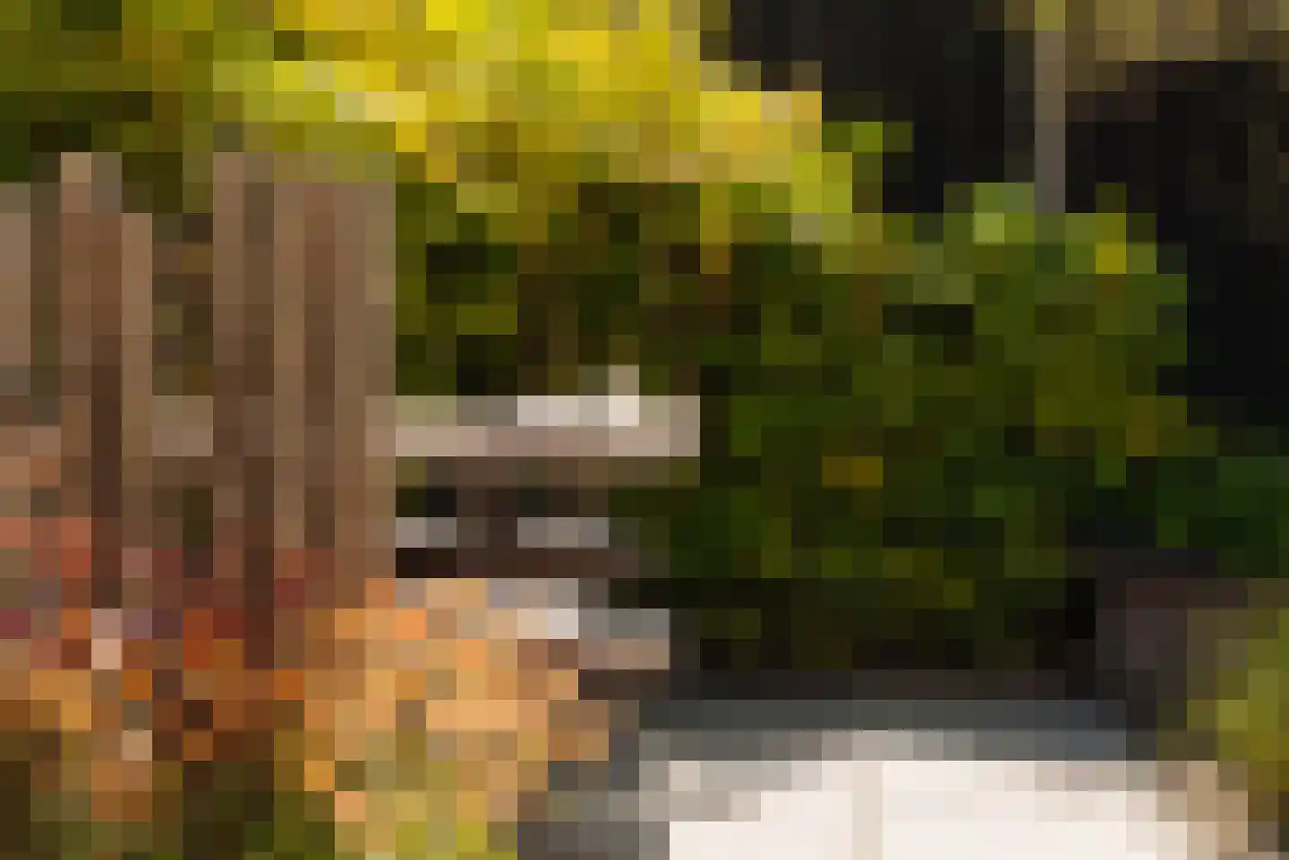 Herman Heijermanslaan 12 A Beverwijk thumbnail 19