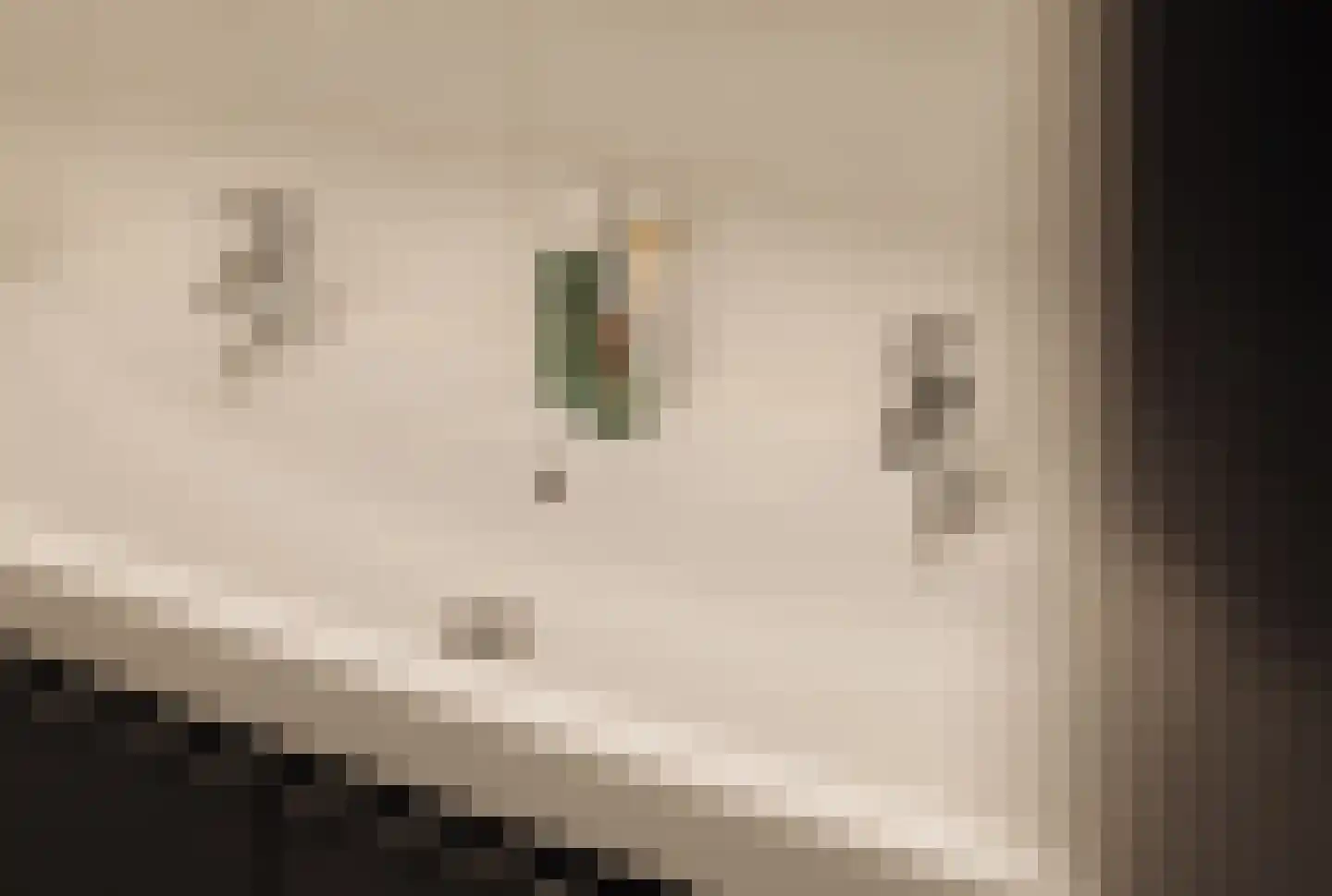 Herman Heijermanslaan 12 A Beverwijk thumbnail 33