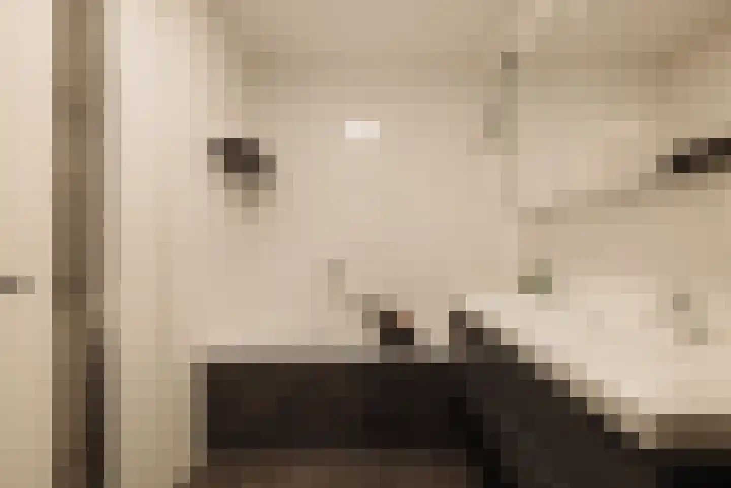 Herman Heijermanslaan 12 A Beverwijk thumbnail 34