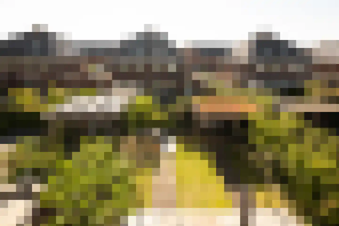 Herman Heijermanslaan 12 A Beverwijk thumbnail 40