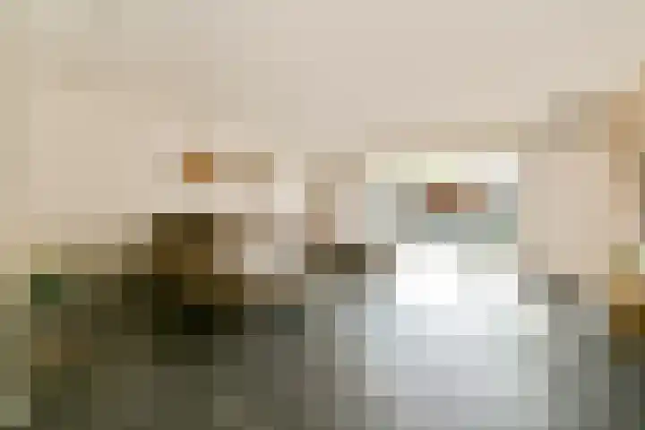 Herman Heijermanslaan 34 Beverwijk thumbnail 5