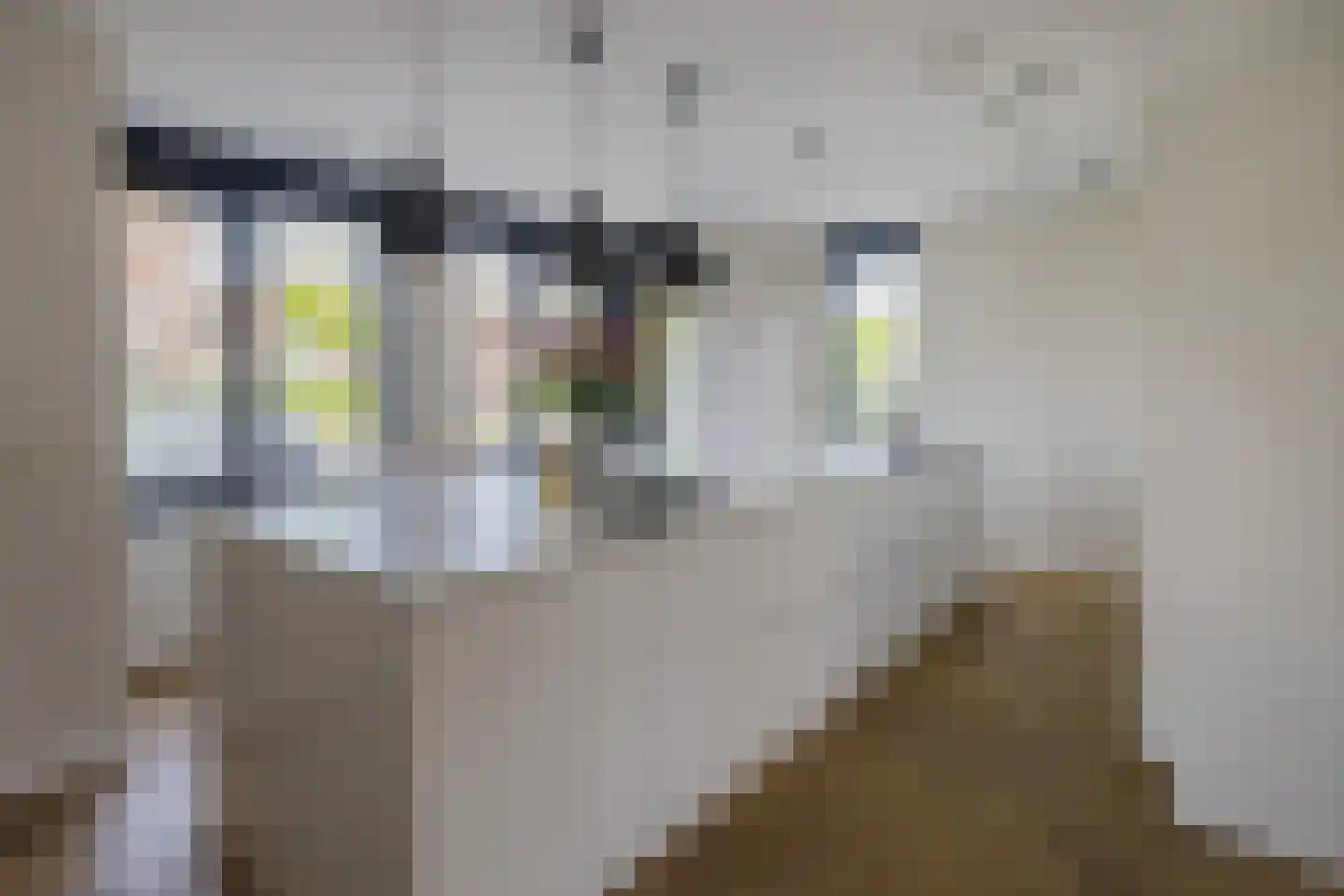 Herman Heijermanslaan 38 Beverwijk thumbnail 22