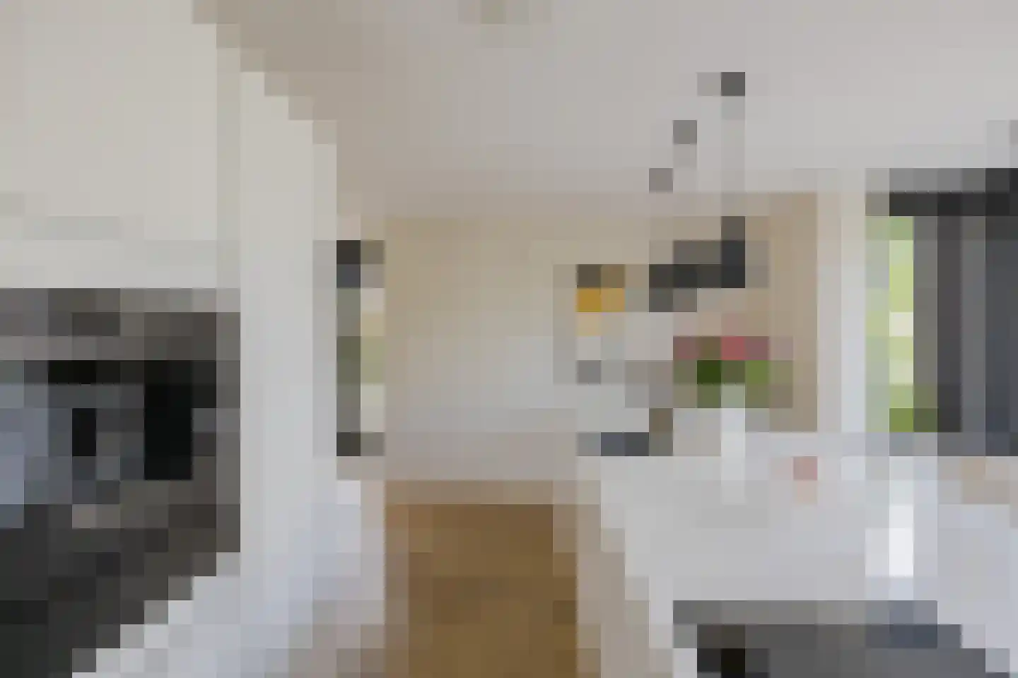 Herman Heijermanslaan 38 Beverwijk thumbnail 28