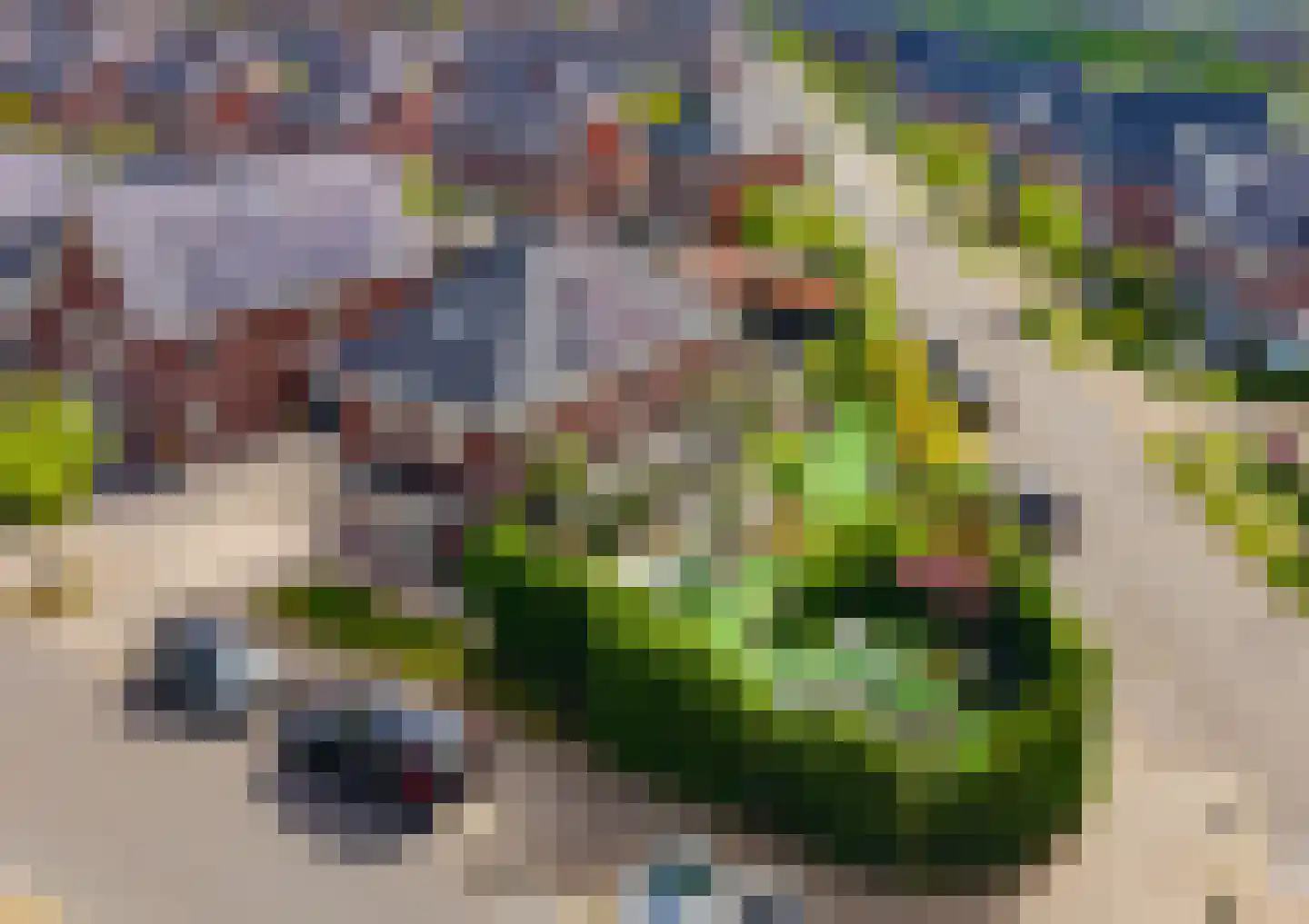 Herman Heijermanslaan 38 Beverwijk thumbnail 4
