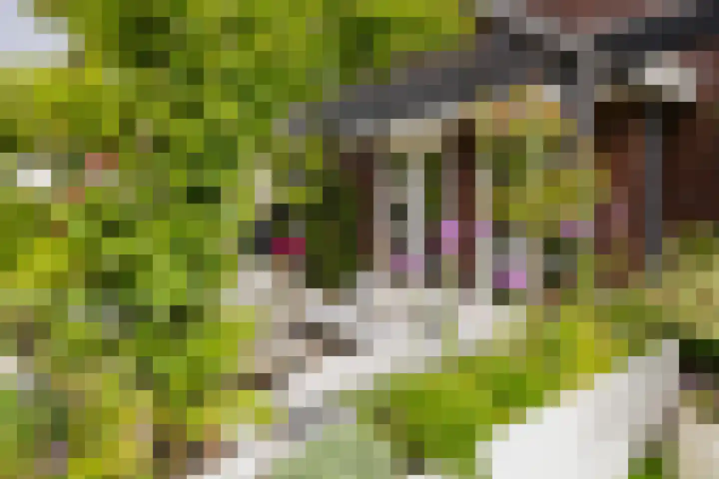 Herman Heijermanslaan 38 Beverwijk thumbnail 76