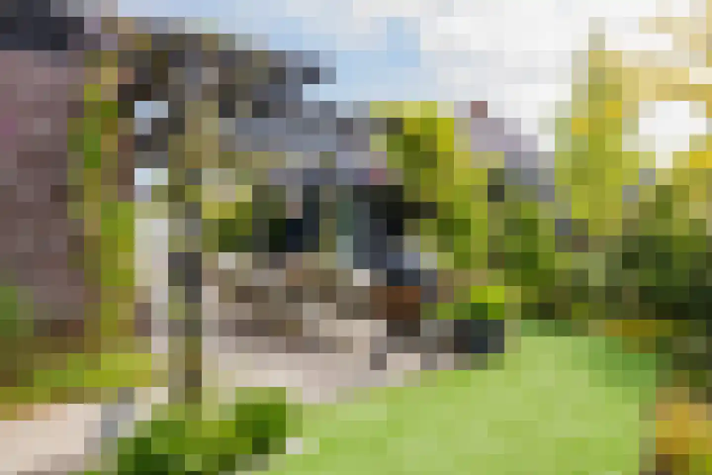 Herman Heijermanslaan 38 Beverwijk thumbnail 88