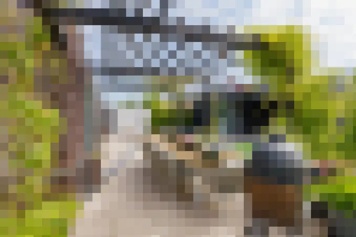Herman Heijermanslaan 38 Beverwijk thumbnail 89