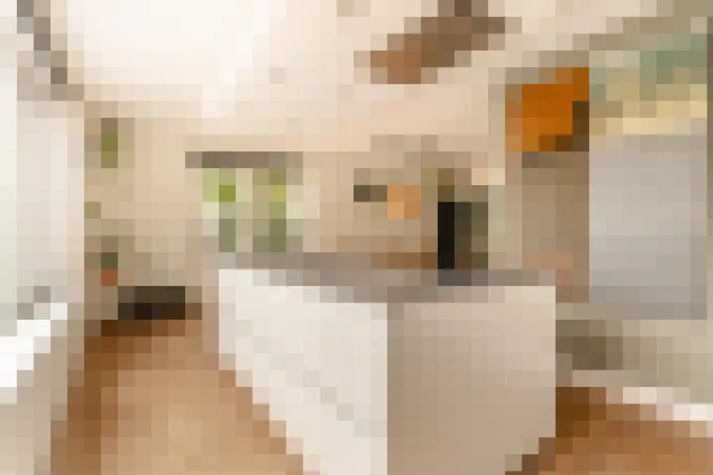 Herman Heijermanslaan 46 Beverwijk thumbnail 17