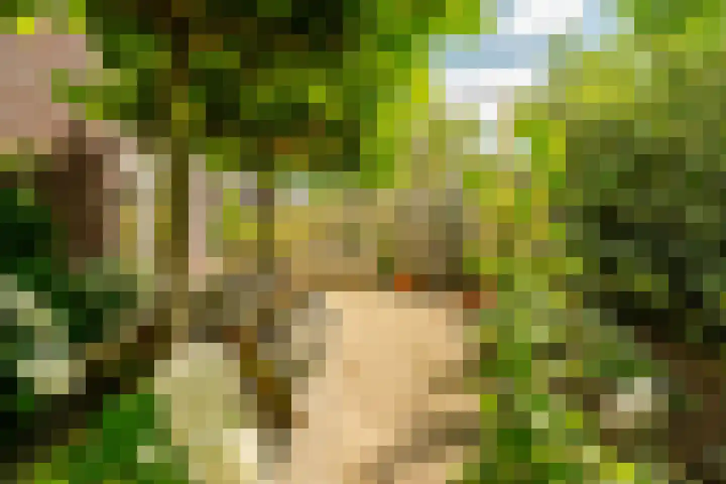 Herman Heijermanslaan 46 Beverwijk thumbnail 21