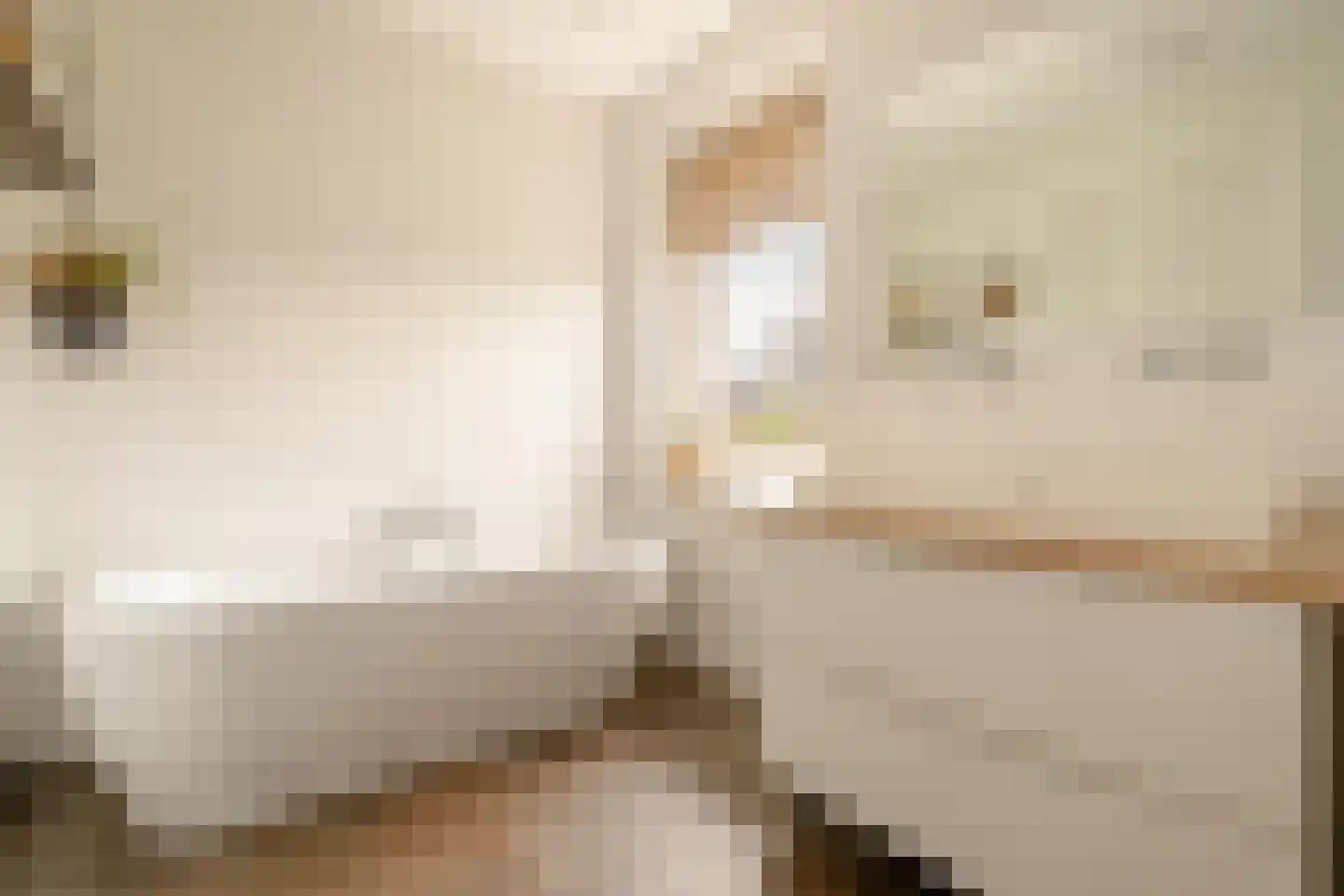 Herman Heijermanslaan 46 Beverwijk thumbnail 36
