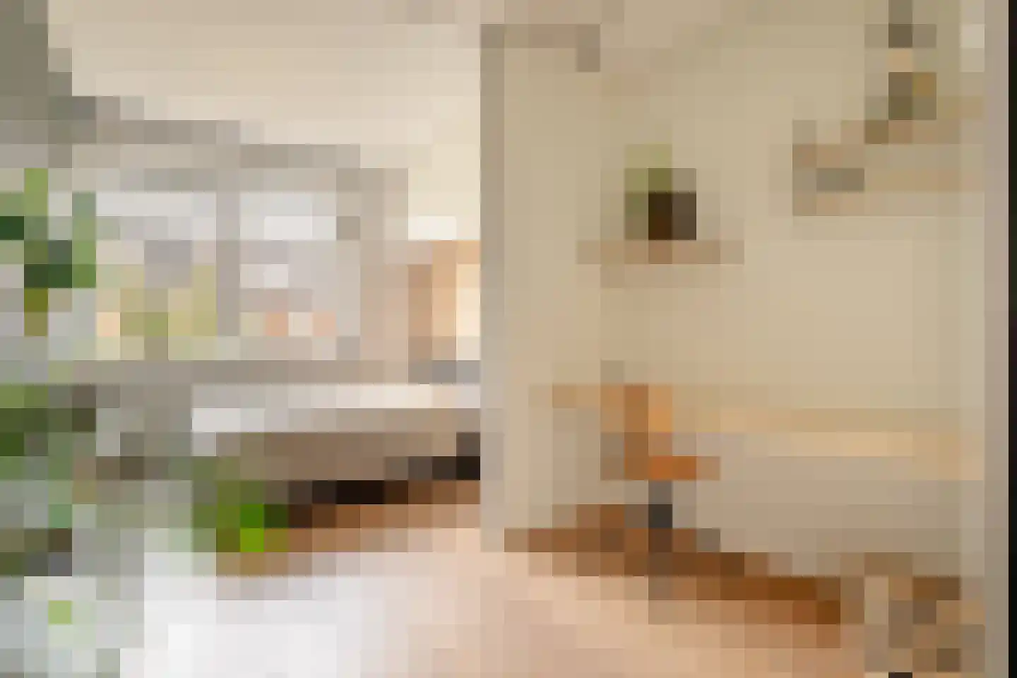Herman Heijermanslaan 46 Beverwijk thumbnail 43
