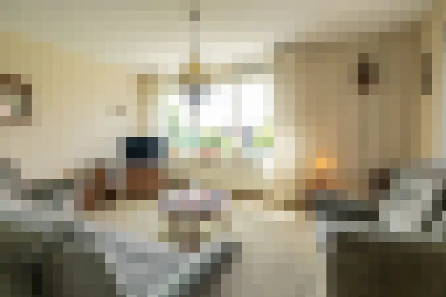 Herman Heijermanssingel 24 Middelharnis thumbnail 7