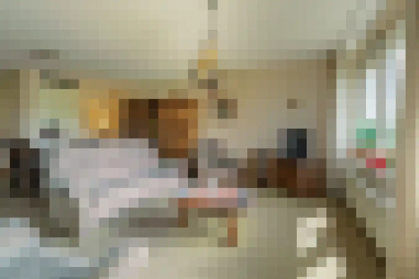 Herman Heijermanssingel 24 Middelharnis thumbnail 8