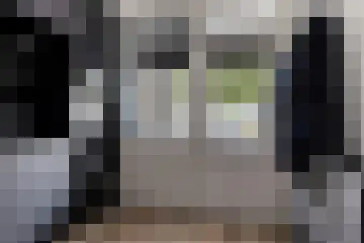 Herman Heijermanssingel 74 Middelharnis thumbnail 13