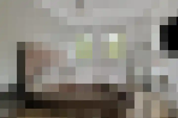 Herman Heijermanssingel 74 Middelharnis thumbnail 20