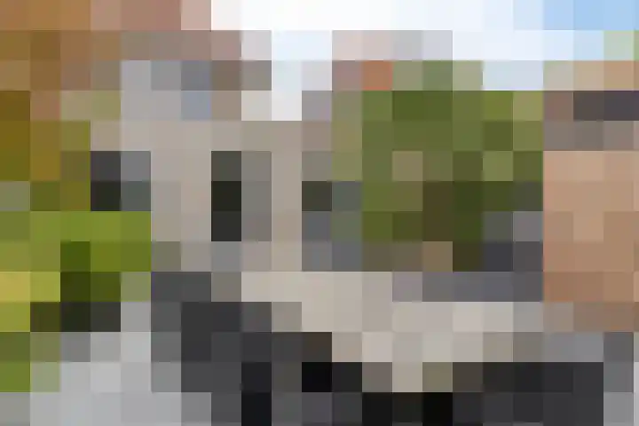Herman Heijermanssingel 74 Middelharnis thumbnail 30